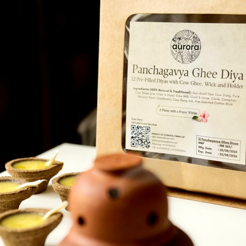 Cow dung based Panchagavya Ghee diya .12 Pre-Filled Diyas with Cow Ghee, Wick and Holder