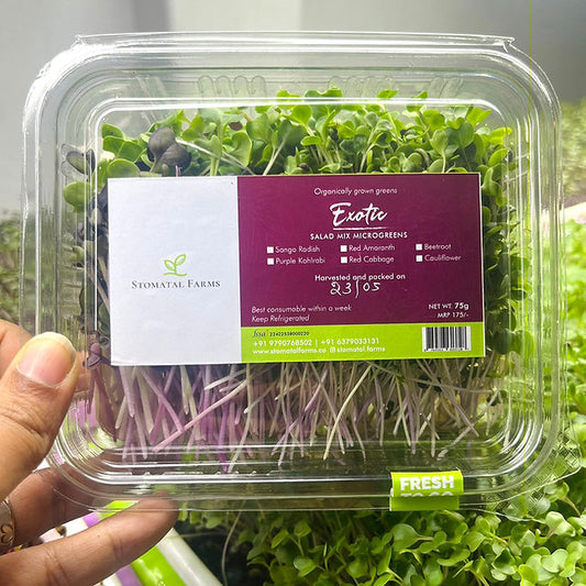 Salad Mix Bundle - Microgreens (Radish Trio + Exotic Mix) + Baby Greens