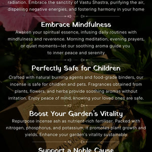 Aurora Aroma & Light Essentials