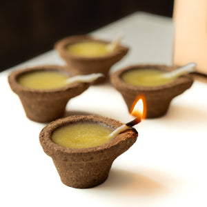 Aurora Aroma & Light Essentials