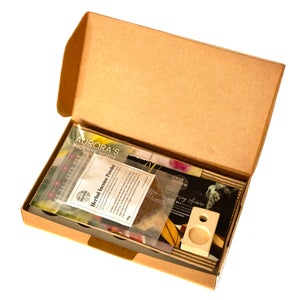 Aurora Aroma & Light Essentials